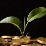 manajemen keuangan untuk investasi